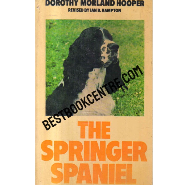 the springer spaniel