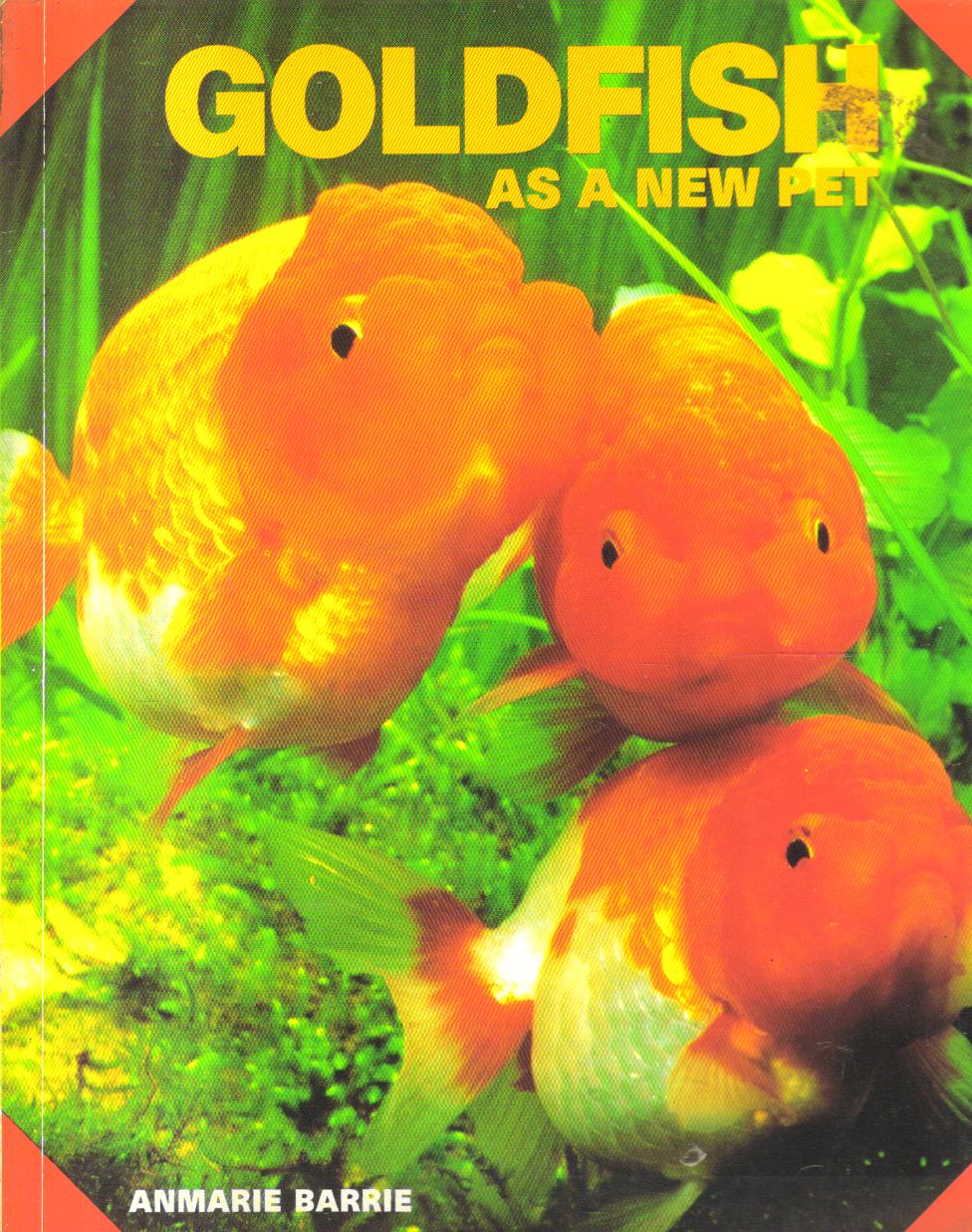 Goldfish as a new pet.