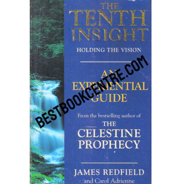 the tenth insight holding the vision [Celestine Prophecy]