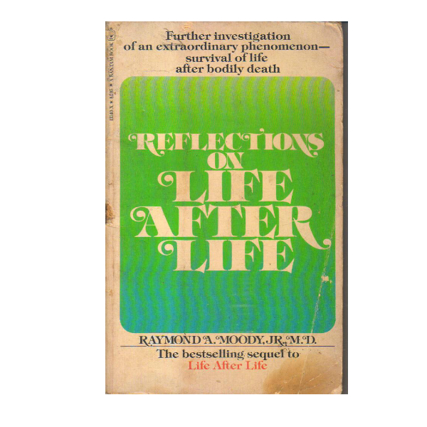 Reflections on Life After Life (PocketBook)