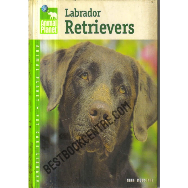Labrador Retrievers.