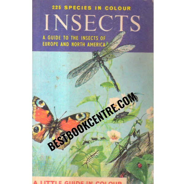 insects a guide to insects of Europe and north America