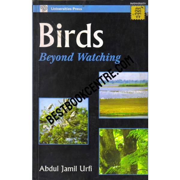 Birds Beyond Watching