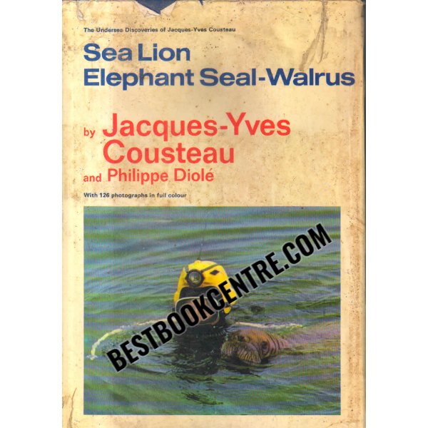 sea lion elephant seal walrus 1st edition