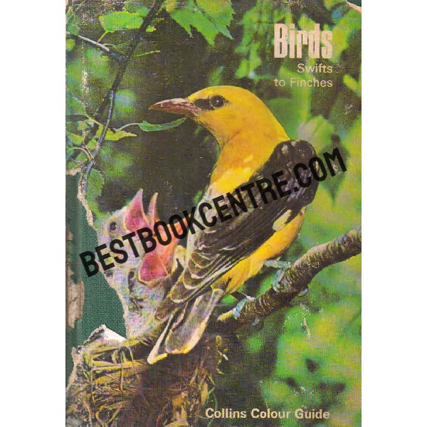 Birds Swifts and Finches 1st edition