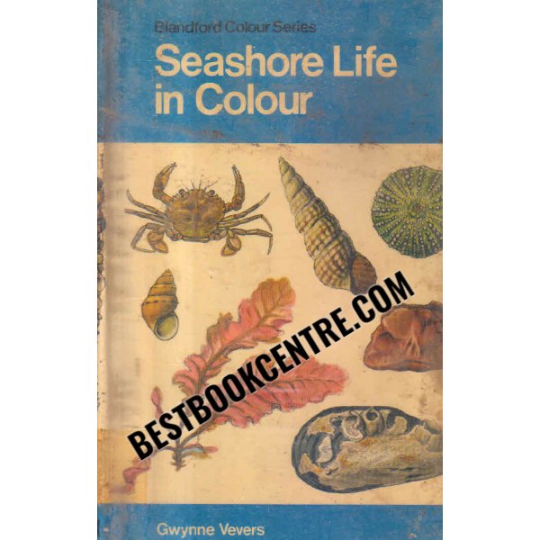 seashore life in colour Blandford colour series 