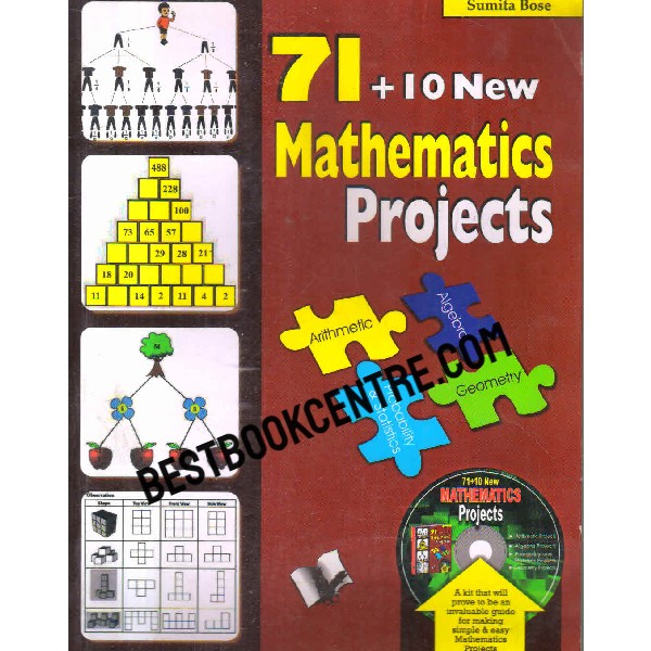 mathematics projects