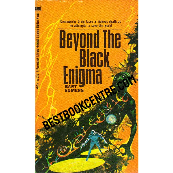 Beyond the black enigma