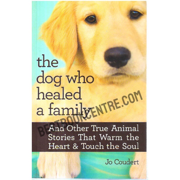 the dog who healed a family