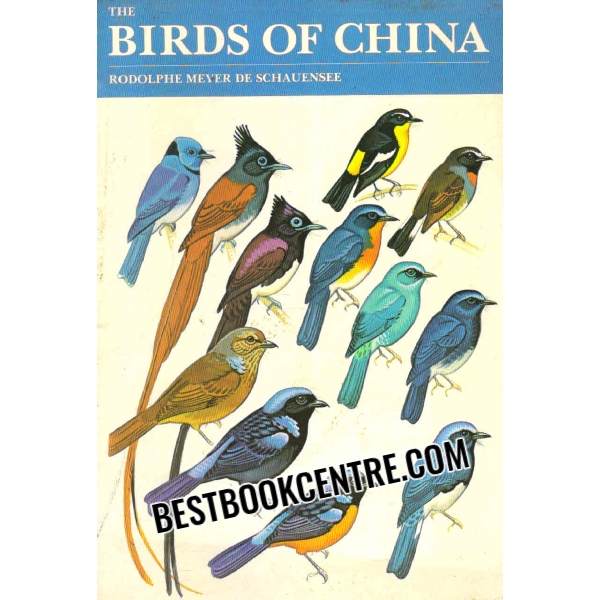 the birds of china 