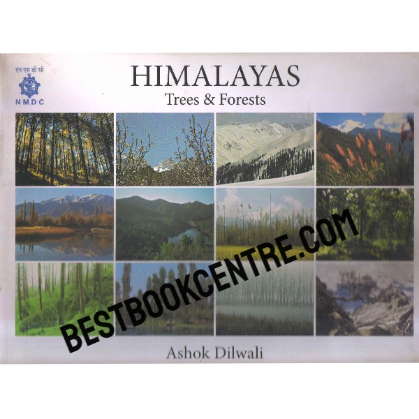 himalayas trees and forests