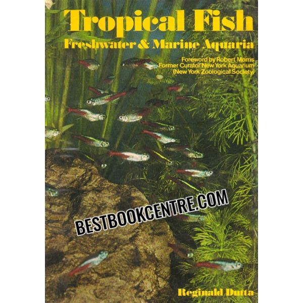 tropical fish freshwater and marine aquarin 