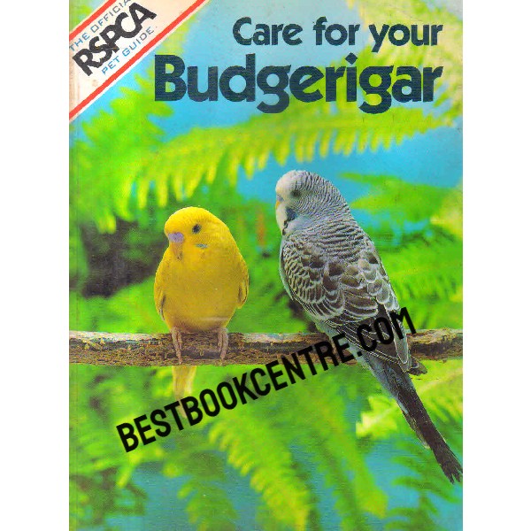 care for your budgerigar