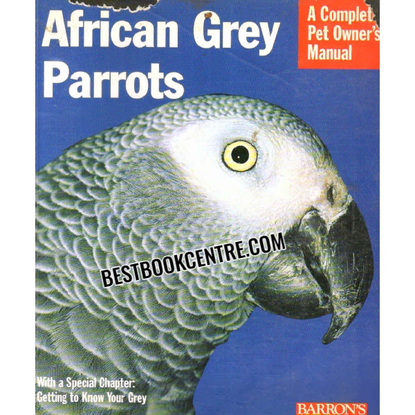 african grey parrots 