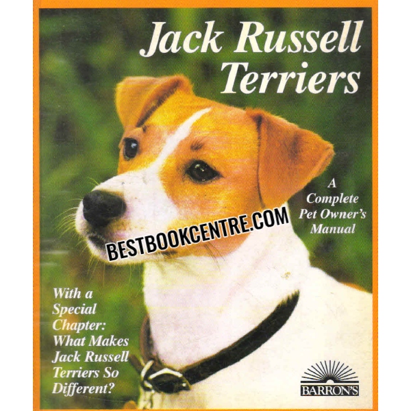 jack russell terriers 