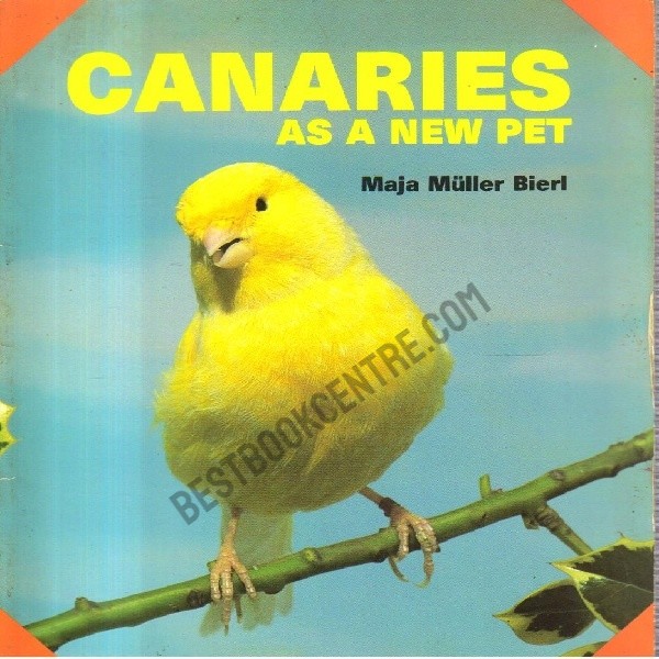 Canaries as a new pet.