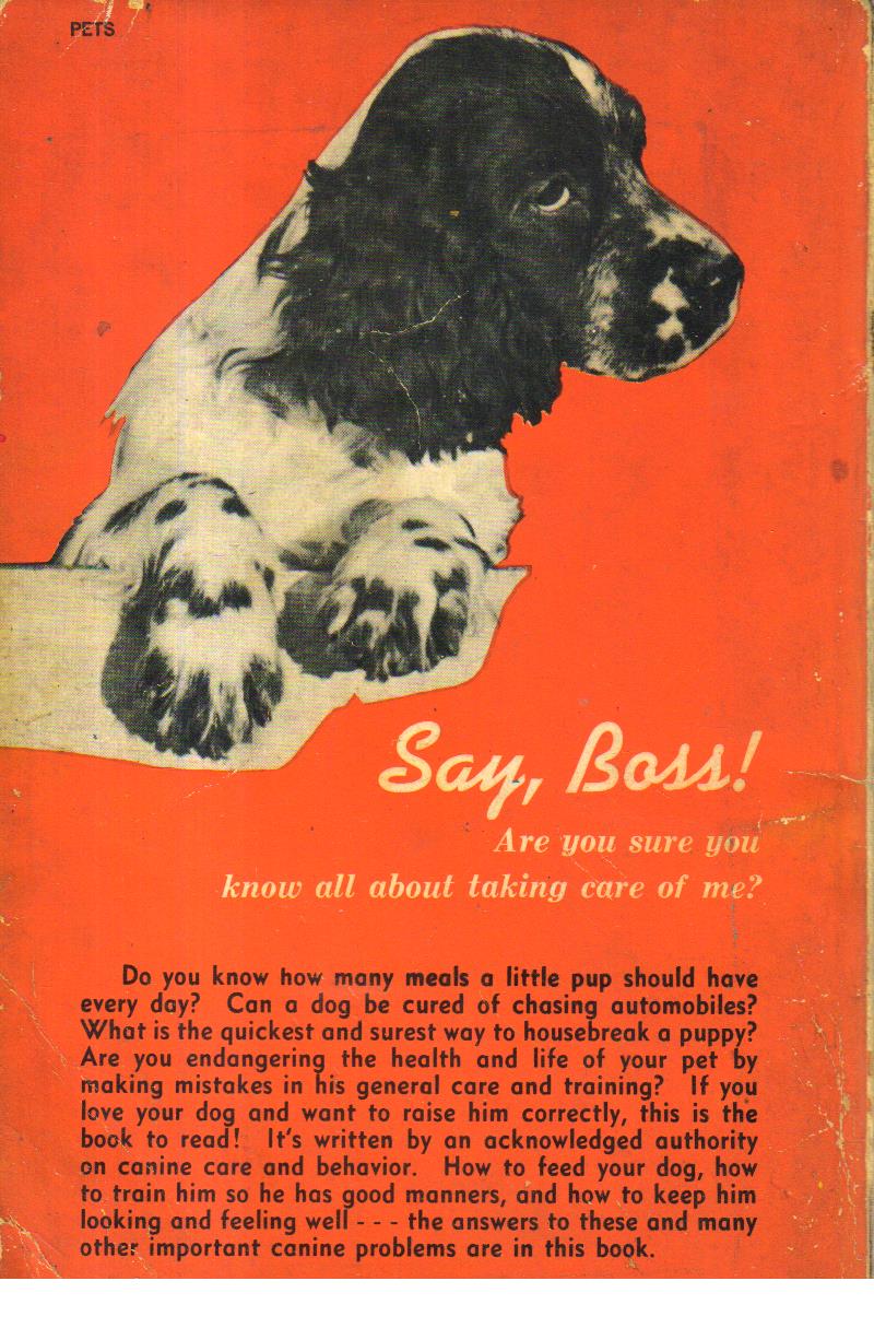 Its Easy to Raise and Train a Puppy in your house or aparment.