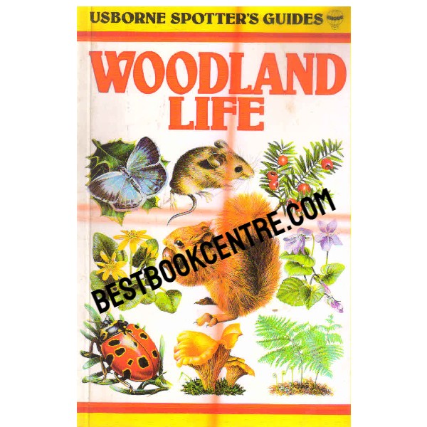 Woodland Life Usborne spotters guide
