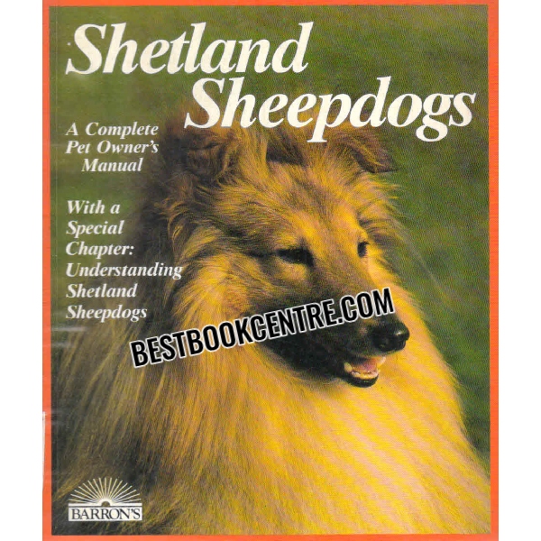 shetland sheepdogs 