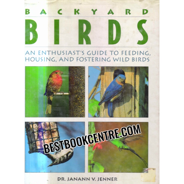 backyard birds
