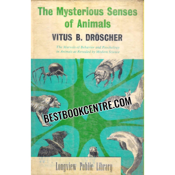 the mysterious senses of animals 