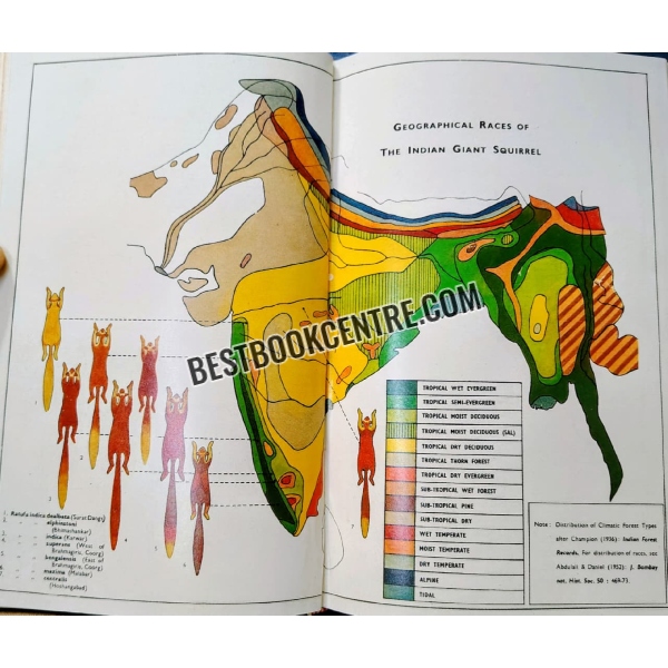 the book of indian animals 
