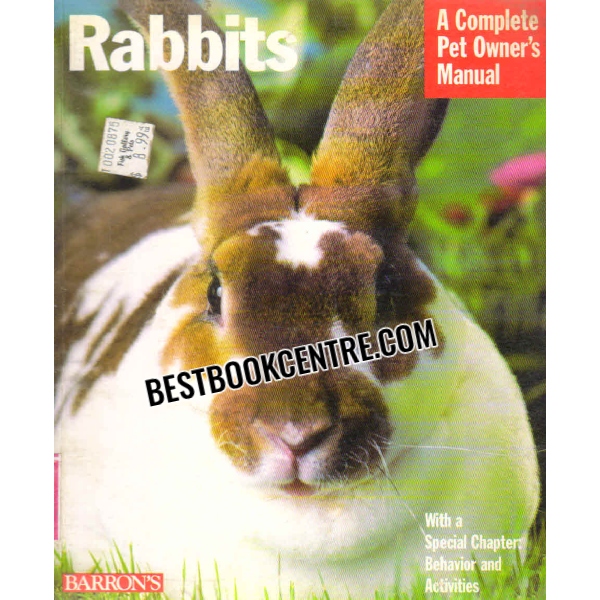 rabbits 