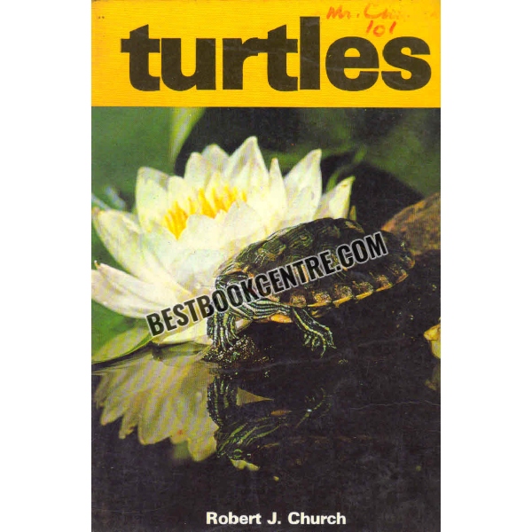 turtles 