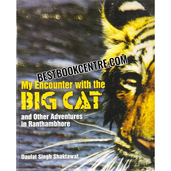 my encounter with the big cat 