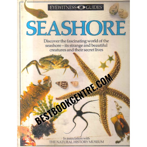 DK Eyewitness Guides seashore