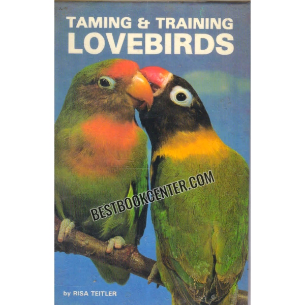 taming and training lovebirds 
