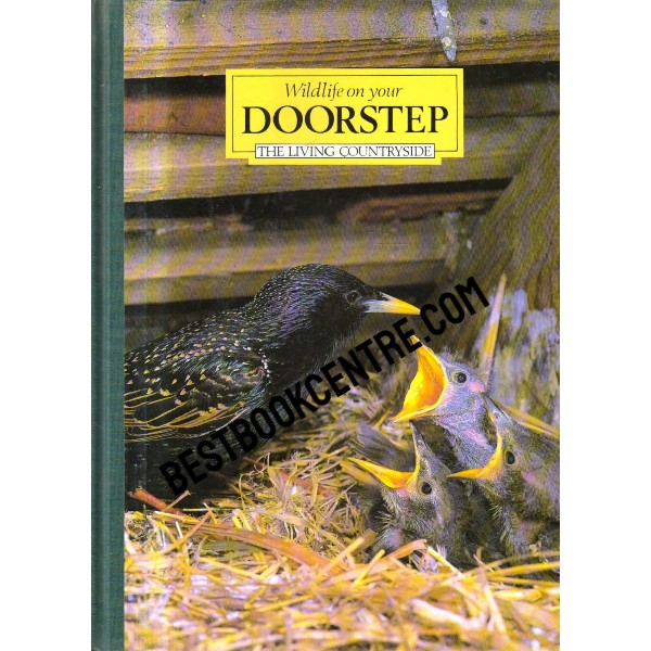 Wildlife on your Doorstep 