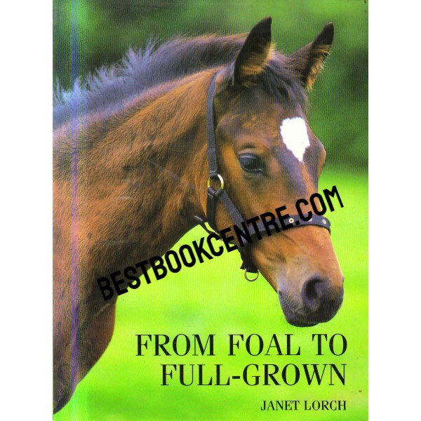 From Foal to Full Grown 1st edition