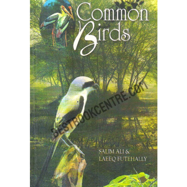 Common birds