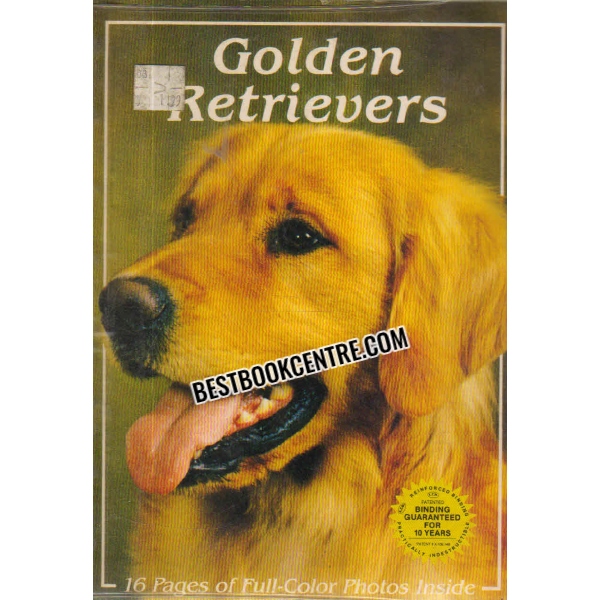 golden retrievers 