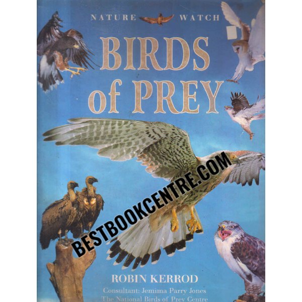birds of prey