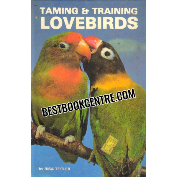taming and training lovebirds 