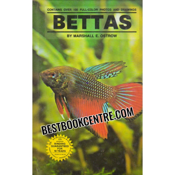 bettas 