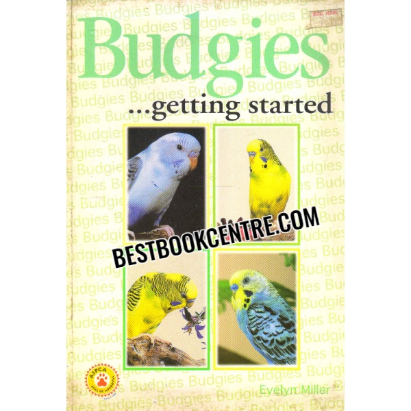 budgies getting started 