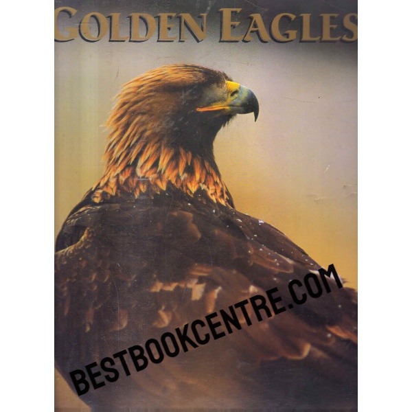 Golden Eagles