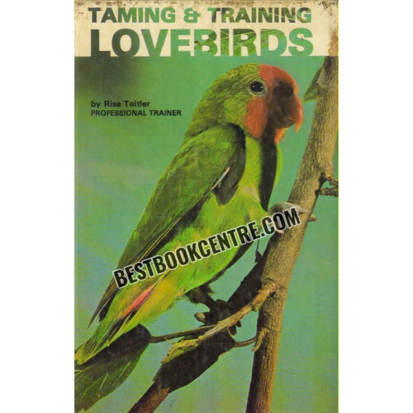 taming and training lovebirds 