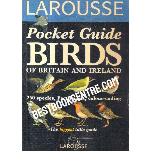 pocket guide birds of britain and ireland