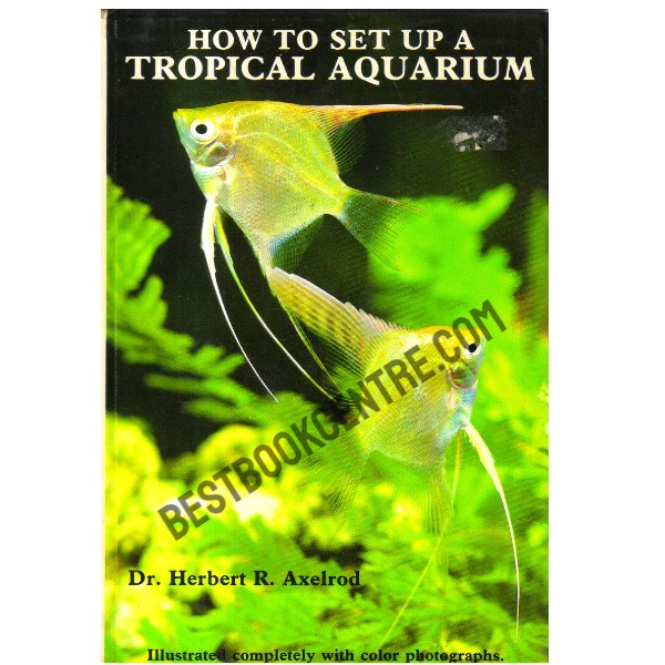 How to set up a Tropical Aquarium.