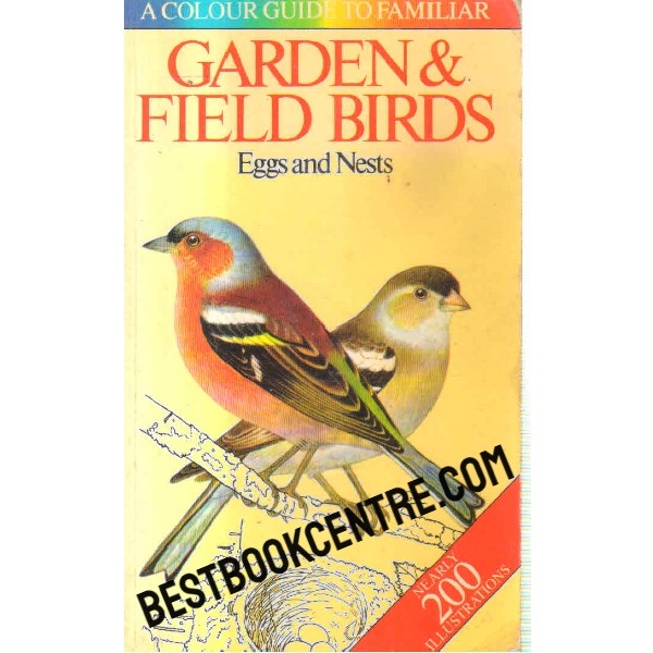 garden and field birds