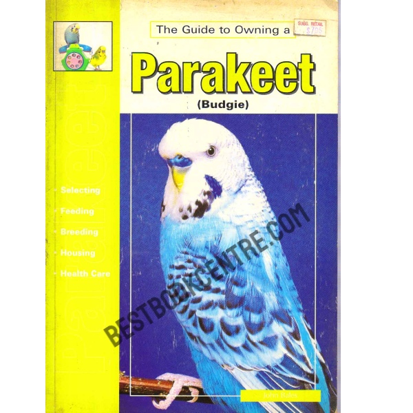 The Guide to Owning a Parakeet