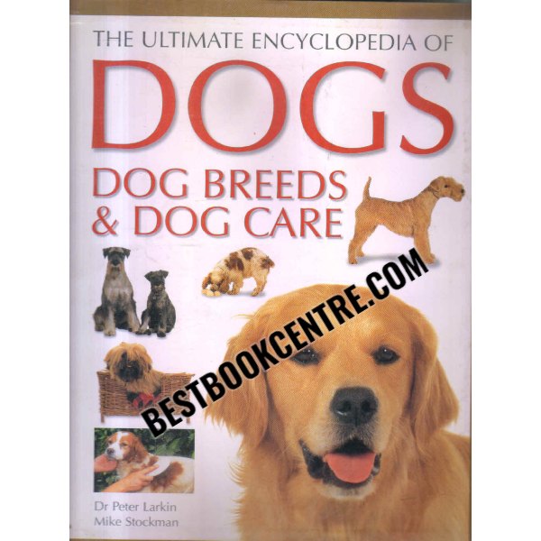 dogs breeds and dog care