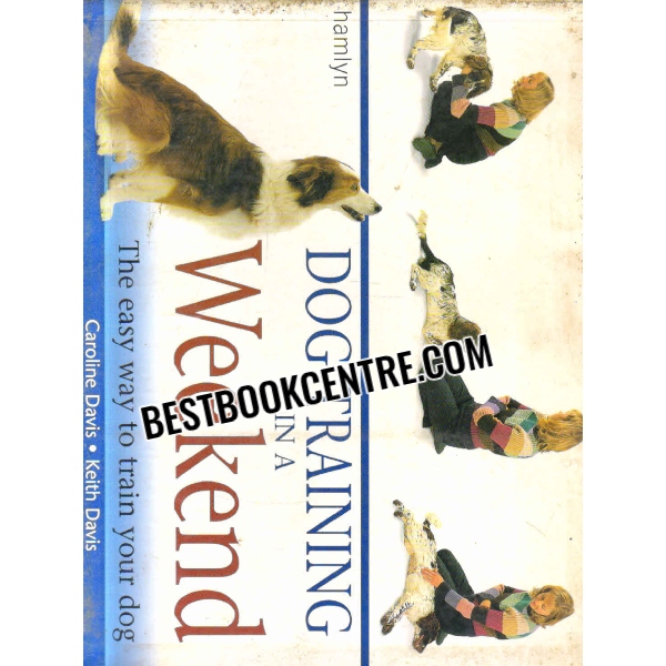 dog training in a weekend 