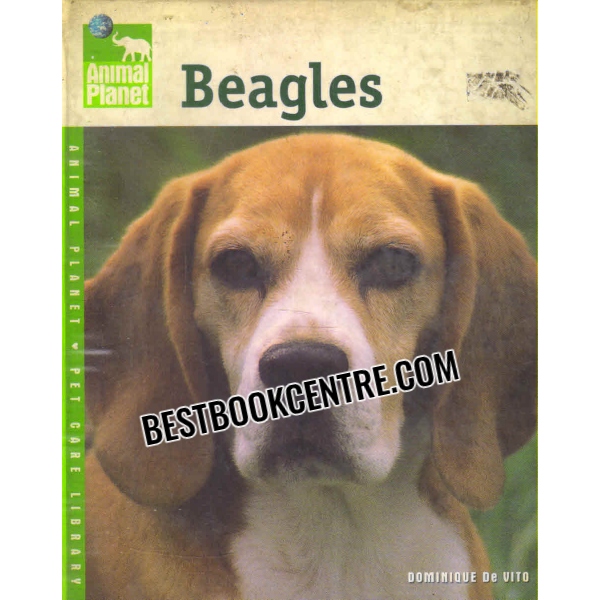 beagles animal planet
