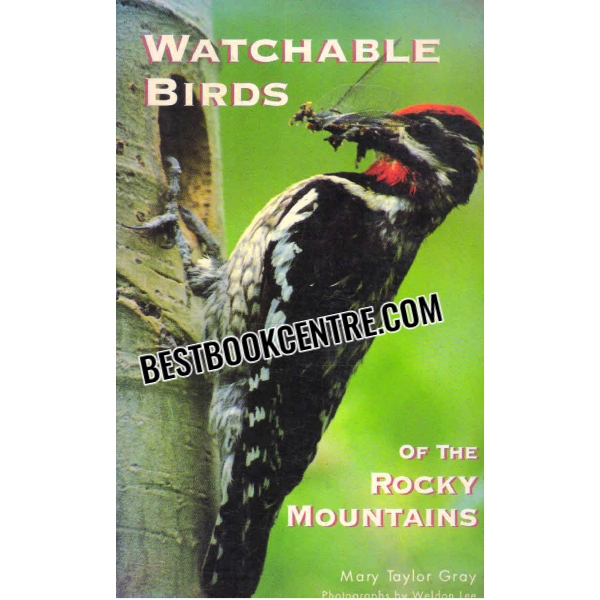 watchable birds of the rocky mountains 