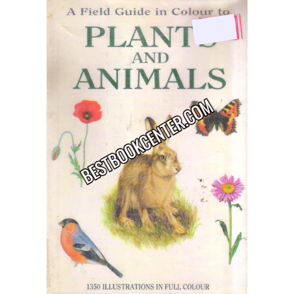 A Field Guide In Colour To Plant And Animals 